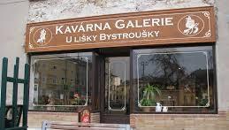 Texty s ilustracemi nejprve vycházely na pokračování v Lidových novinách. Díky značné oblíbenosti u čtenářů následovalo i mnoho knižních vydání Lišky Bystroušky.