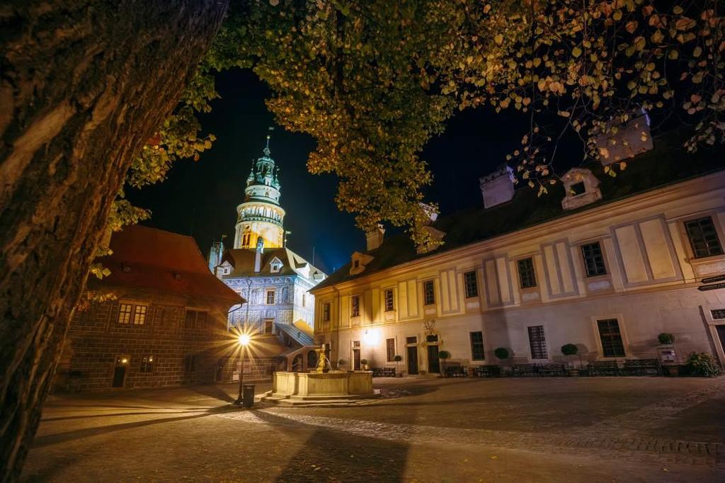 Věděli jste, že? V podmínkách České republiky má biomasa potenciál prakticky úplně nahradit fosilní paliva při výrobě tepla a teplé užitkové vody pro domácnosti.