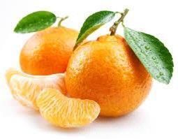 Kapitola 08 JEDLÉ OVOCE A OŘECHY; KŮRA CITRUSOVÝCH PLODŮ NEBO MELOUNŮ Číslo 0805 Citrusové plody, čerstvé nebo sušené: Položka 0805 20 rozdělena samostatné položky pro mandarinky a