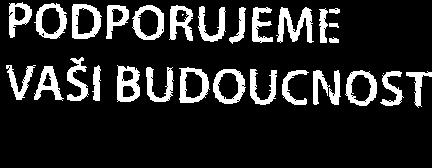 PODPORUJEMI: VASI BUDOUCFIO5T www.esfcr.