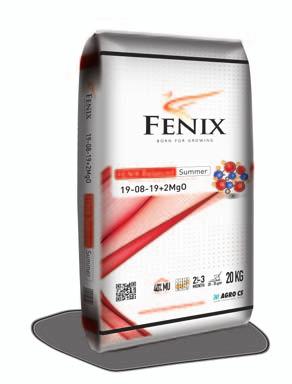 19-08-19+2MgO 071681 FENIX Balanced Autumn 40 % MU 13-05-24+3MgO