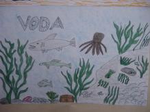vody,