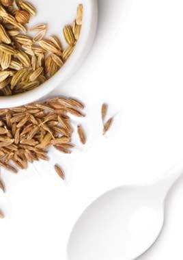lžíce 2½ lžíce 1½ lžíce 1 lžíce + 1 lžička Bulgur (drcená pšenice) 3 lžíce 1 lžíce 1 lžíce Droždí: aktivní sušené 2¼ lžičky 2 lžičky 1½ lžičky 1 lžička Vložte do automatického dávkovače na sušené