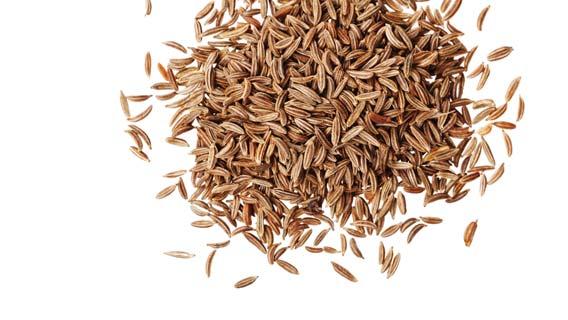 Chleba bez droždí Sýrový chleba s podmáslím Chleby bez droždí Citronový chleba s rozinkami Yeast Free Yeast Free Máslo (rozpuštěné) Vejce 1 Podmáslí Chlebová mouka Sůl Hrubá hořčice Jedlá soda 1