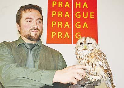 Je to čumilství. Nemyslím to dnešní, kdy řidiči čučí při jízdě a natáčejí na mobil bouračku a sami pak nabourají. Mám na mysli čumilství fascinované prací.