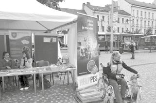 Anděl plný neziskovek Radnice Prahy 5 již pojedenácté podpořila projekt, ve kterém veřejnosti představuje neziskové organizace.