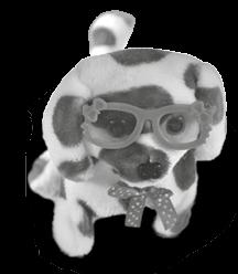 rádi, k Vánocům, narozeninám nebo svátku?
