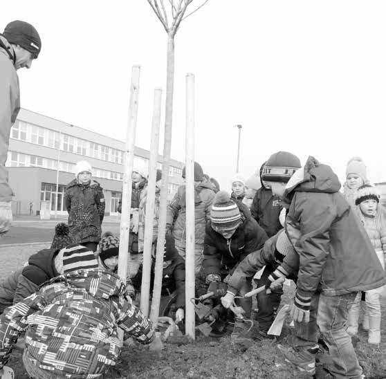 Construction, zhotovitel aquaparku. A tak se očekává bitva právníků INZERCE Vinotéka a delikatesy U Václava Více delikates, více vína a delší otevírací doba.