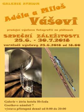 Výstava je první svého druhu, většina z nás jména autorů, Ředitel muzea Jaromír Bartoš zahajuje výstavu mariánskolázeňských malířů.