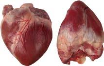 145 Kč kg Vepřová kýta 4D bez kosti 1 ks cca 6-8 kg,