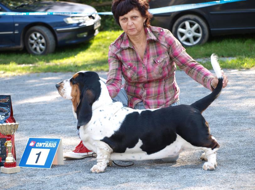 Feny - třída veteránů 28 Bety z Hlubocké hájovny V 1, BOV