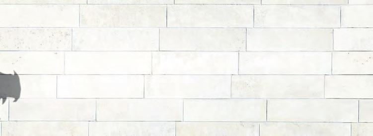KE STANDARDNÍ LÉČBĚ 1,2# CZ/JAR/SYN/0217/00007 Zkrácené informace o přípravcích jsou umístěny na