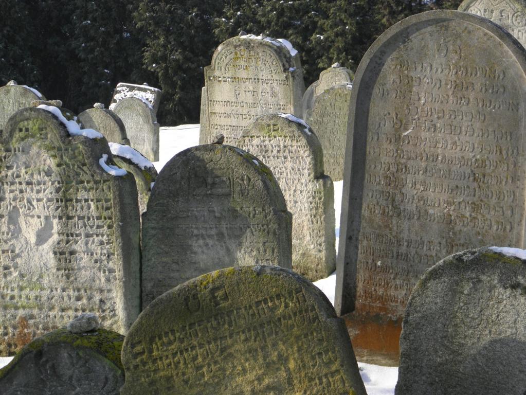 Židovské hřbitovy Jewish graveyards Cesta je
