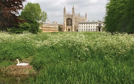 King s College, Cambridge 17. 5.