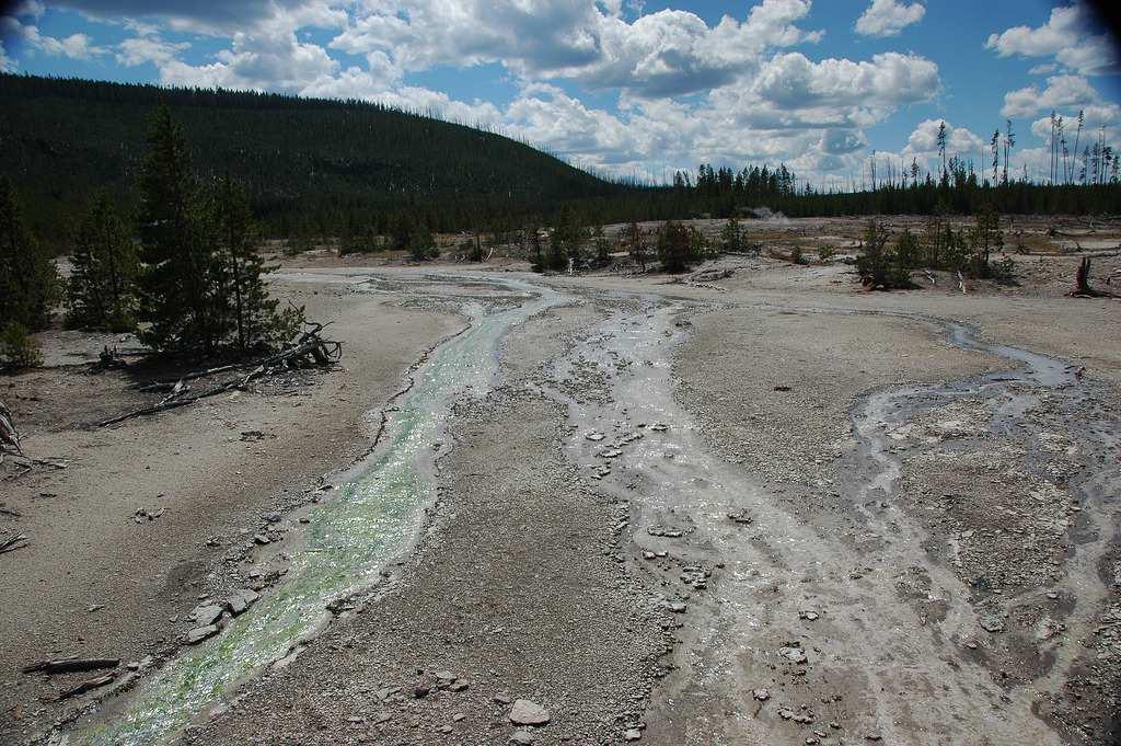 Oddělení Rhodophyta (ruduchy) Třída Cyanidiophyceae* jednobuněčné ruduchy extrémní biotopy termální prameny