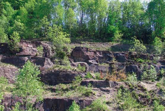 6. Horninové prostředí V oblasti ochrany a využívání ložisek nerostných surovin nedošlo v roce 2010 a 2011 proti předchozímu období k výraznějším změnám.