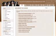 VARIABILNÍ SYMBOLY A PLATBY VARIABILNÍ SYMBOLY A PLATBY Konstrukce variabilního symbolu AA kód platby AABBBBCC 21 členský příspěvek 03 poplatek za vystavení urg.