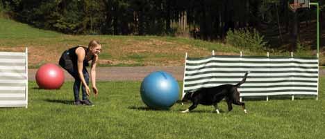 Jojo, bere ji, musím zkontrolovat, co do ní dá... Takže aportky, frisbeečko, výcvikovou sukni, klikr, konzervu s dlabancem a ten skvělý salámek za odměnu, co mám rád.