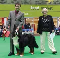 PŘÍSPĚVKY ČLENŮ KLUBU CRUFTS 2018 Crufts je velký pojem u nás hlavně pro pejskaře. Anglie touto událostí žije doslova celá. Její průběh je dokonce snímán několika televizními stanicemi.