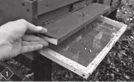 Alternativa: Každé včelstvo skutečně potřebuje jen jedno jediné, ale správné, dno. Optimální dno je takové, které je co možná jednouché: dřevěný rám, který drží nerezová síť (oko 2 3 mm).