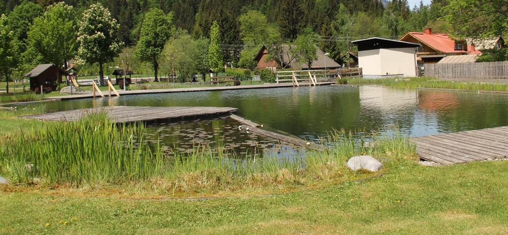OKOLÍ HERMAGORU, PRESSEGGERSEE, WEISSENSEE, NASSFELD Přírodní koupaliště