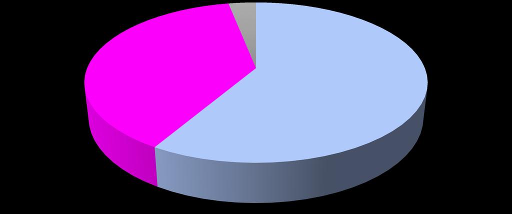 Graf: Hodnocení současné naplněnosti tříd MŠ (%) Optimální počet 38j,5 % Menší než je vhodné 3,1 % Větší než je vhodné 58, 5 % Zdroj: Sociotrendy Požadavky na investice Ředitelé základních škol