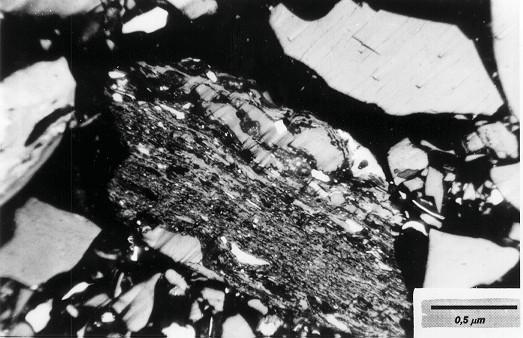 Z výsledků petrologických rozborů vyplynulo, že macerálová skupina vitrinitu je nejvíc formována