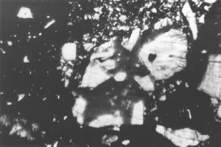 Obrázek 15