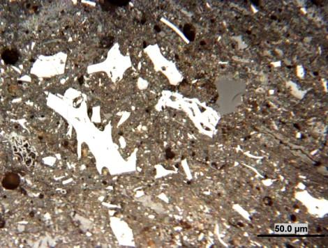 Fluorescence Obrázek 24 Liptodetrinit s