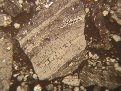 Textinit byl mineralizován malými konkrecemi pyritu anebo jílovými minerály. Ulminit převládal nad textinitem.