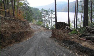 VÝZNAMNÉ PŘÍPADY Poškozený půdní kryt lesní dopravou při asanaci kůrovcové hmoty ÚP Modravy k. ú. Filipova Hut (NP Šumava).