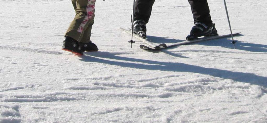 vzít Ski