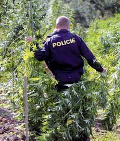 168 s městskou policií hodin Nasávali na zastávce Ilustrační foto: internet Při kontrolní činnosti a dohledu na veřejný pořádek v ulici Blahoslavova si strážníci ve čtvrtek 12.