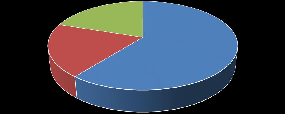 Místní části dle způsobu zásobování pitnou vodou 20% 19% 61% individuální místní skupinový obr.