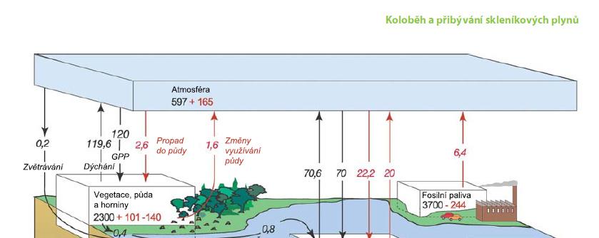 Metelka,