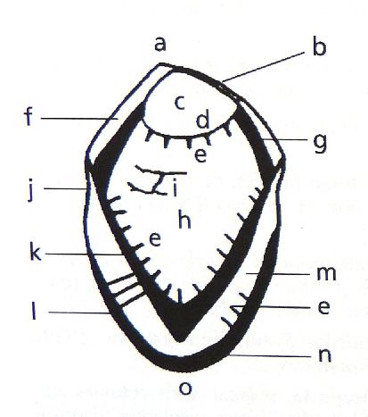 Obr. 5.