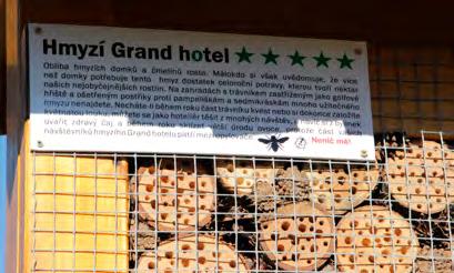 6491428E Piechotą około 2 km od przystanku autobusowego Ježník Sanatorium, od drogowskazu turystycznego wzdłuż zielonego szlaku.