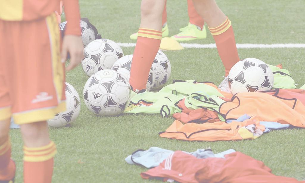 slovo úvodem Milí sportovní přátelé, držíte v rukou další díl Tempáku Extra - fotbalové kroniky, která se tentokrát věnuje sezoně /. V mnoha směrech patřila k nejlepším v historii klubu.