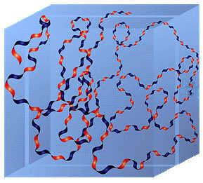 2.1.2 Polymerní struktura a struktura v roztoku Enzymaticky syntetizovaný polymerní disacharid hyaluronan může být složen až z 25 000 disacharidových jednotek.