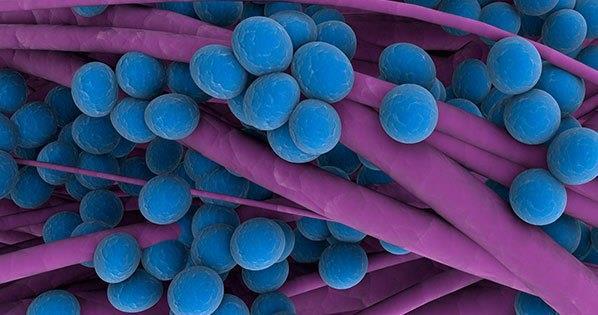 Příčiny vzniku a šíření bakteriální rezistence selekční tlak antibiotik rekombinační procesy vedoucí
