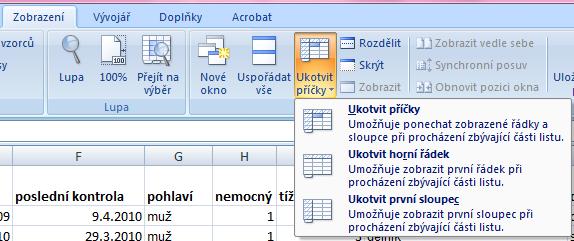 Ukotvení příček Umožňuje ukotvení libovolných řádků a sloupců pro pohodlné vkládání a prohlížení dat v tabulce. Umožňuje číst řádky/sloupce ze začátku tabulky i po přesunutí se dále.