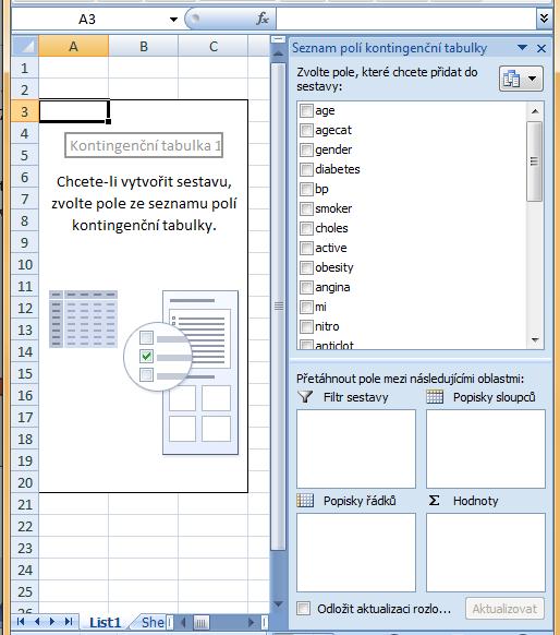 kontingenční tabulce Microsoft Office 2007