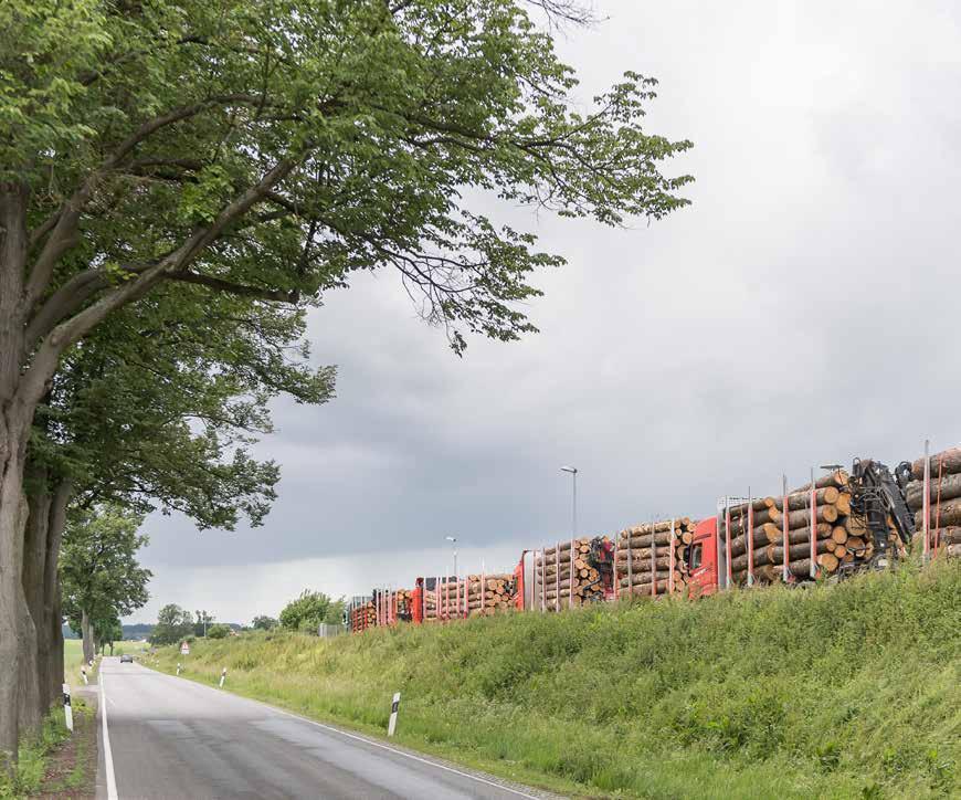 34 timber Princip úspěchu: Korektnost Vystudovaný lesník si uvědomuje zásadní vliv klimatu: Lesnické vzdělání ještě není předpokladem k tomu, abyste byli dobrým nákupčím.