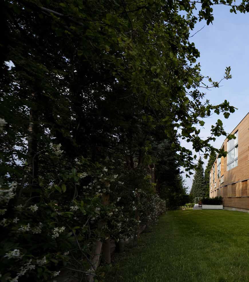 8 timber CLT: DŘEVOSTAVBY S MASIVNÍMI VÝHODAMI Nová přirozenost architektury Rozměry