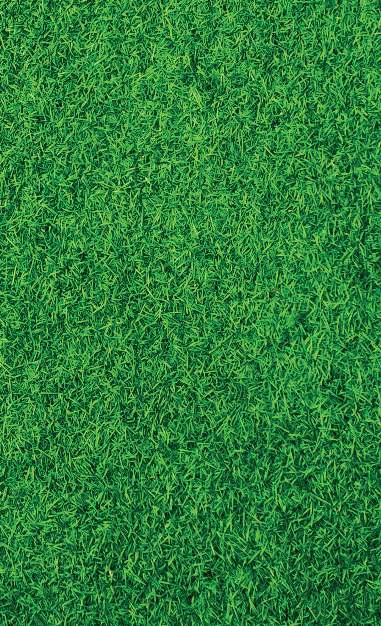 Sport & Golf Autumn Typ Sezónní organominerální hnojivo Podzimní