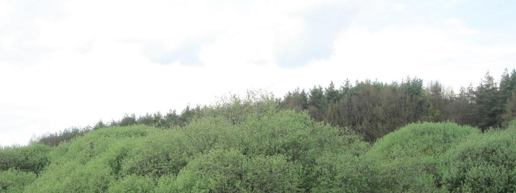 zpracování.