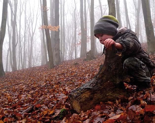 2.4.3 DALŠÍ AKTIVITY SPOLKU KAVYL SPOLEČENSKÉ AKCE 2. ÚKLID LESA 2. 4. 2016 Každoročně pořádáme jarní úklid přilehlého lesa.