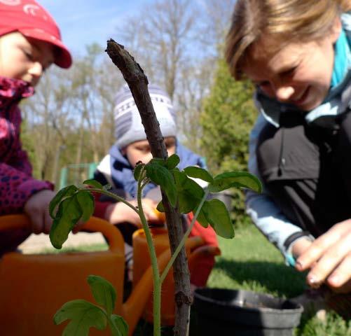 2.6.2 STATUTÁRNÍ ORGÁNY A SPOLUPRACOVNÍCI SPOLUPRACOVNÍCI STROMÍK PEDAGOGOVÉ: Tereza Jiráčková, Hana Dynková, Soňa Štoudková, Martina Zitová, Martina Hájíčková, Lucia Hužvárová, Alena Nováková, Iveta