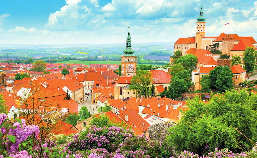 PROGRAM KONFERENCE Asociace poskytovatelů sociálních služeb ČR, z. s. a Ledax vás vítají na mezinárodní konferenci Sociální služby nejen v Evropě Konference se koná pod záštitou JUDr.