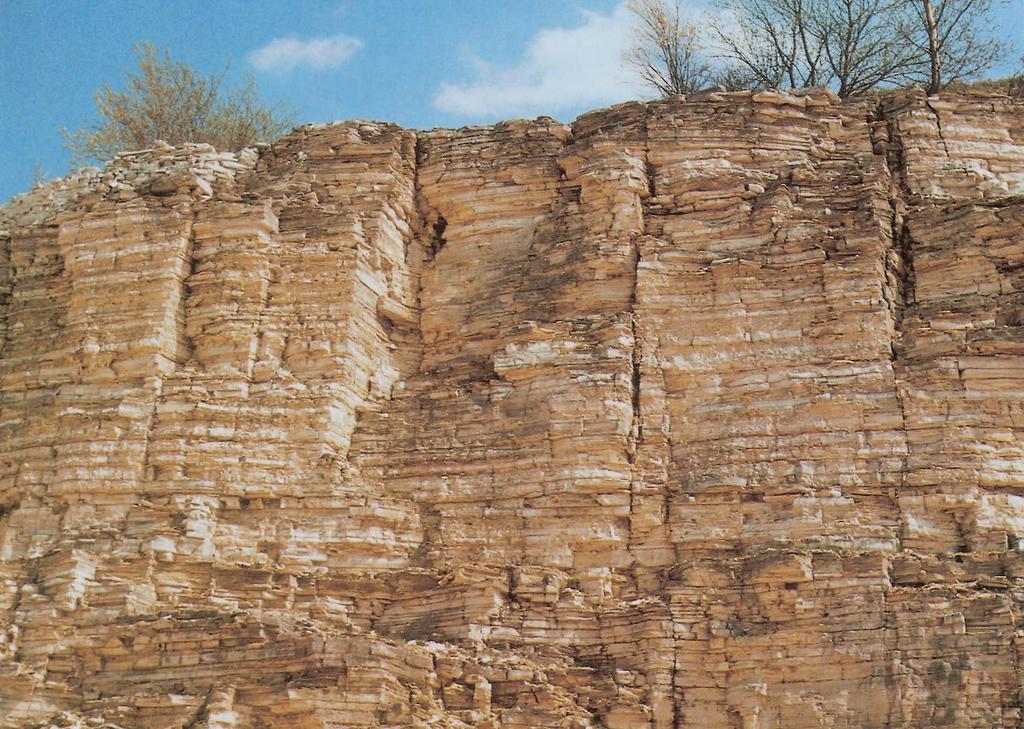 Usadené horniny (sedimenty) Usadené horniny (napr. vápenec a pieskovec) vznikali usadzovaním, eróziou alebo zvetrávaním už existujúcich hornín a ich neskorším opätovným stuhnutím.